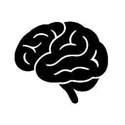 Unlock Your Brain’s Full Potential
